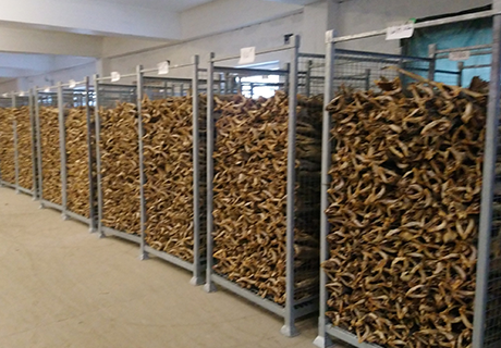 Fish Cages for Dried Fish