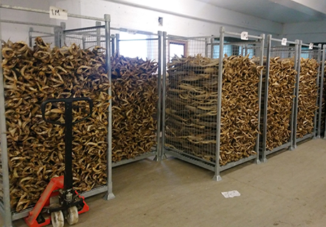 Fish Cages for Dried Fish